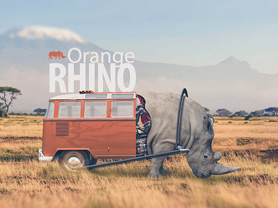 Orange Rhino