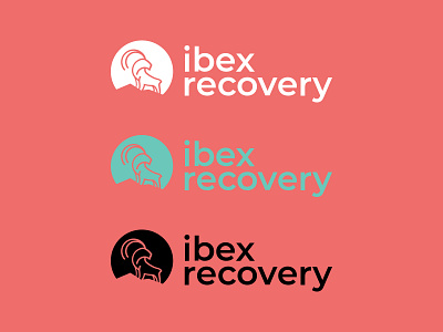 Ibex Recovery Logo branding design flat graphic design icon logo