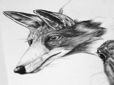 Deep forest animal fox illustration realistic