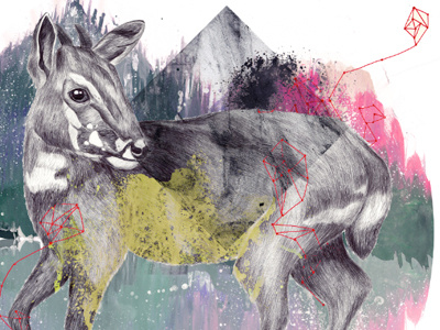 Dribbble