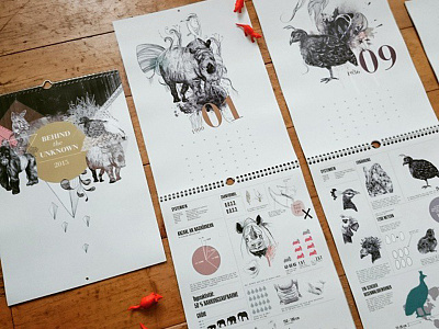 Behind the unknown calendar 2015 2015 adc animals calendar cryptozzology handmade illustration infographics peacock rhinoceros