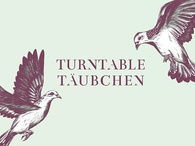 Turntabletäubchen partylabel birds biro fly illustration logo music partylabel pigeons sketch turntable typography wings