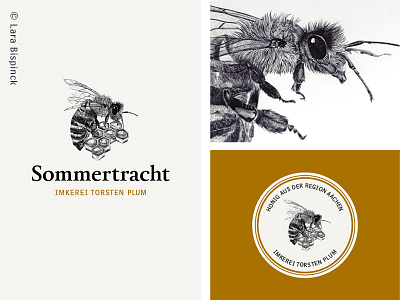 Handdrawn honey logo bee corporate design handdrawn honey honeycomb illustration insect label logo typography