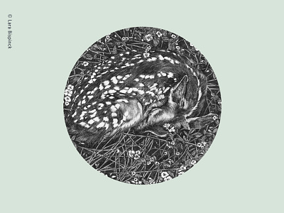 Sleeping fawn animal biro camouflage dots fawn forest handdrawn hidden illustration realistic sleeping