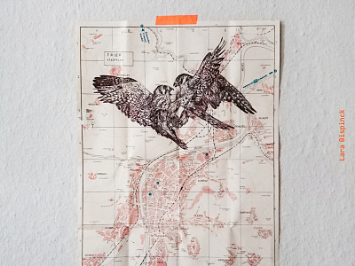 Fighting falcons, biro illustration on an old city map