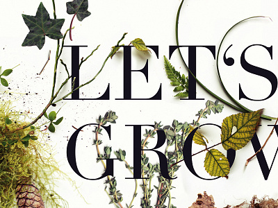 Botanical Poster Contest I botanical design flora green grow illustration leafs nature poster print typography