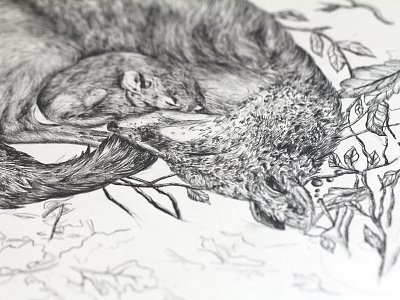Fox & mouse pencil illustration art autumn branches fox fur handdrawn illustration leafs mouse pencil sleeping structure