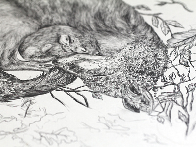 Fox & mouse pencil illustration