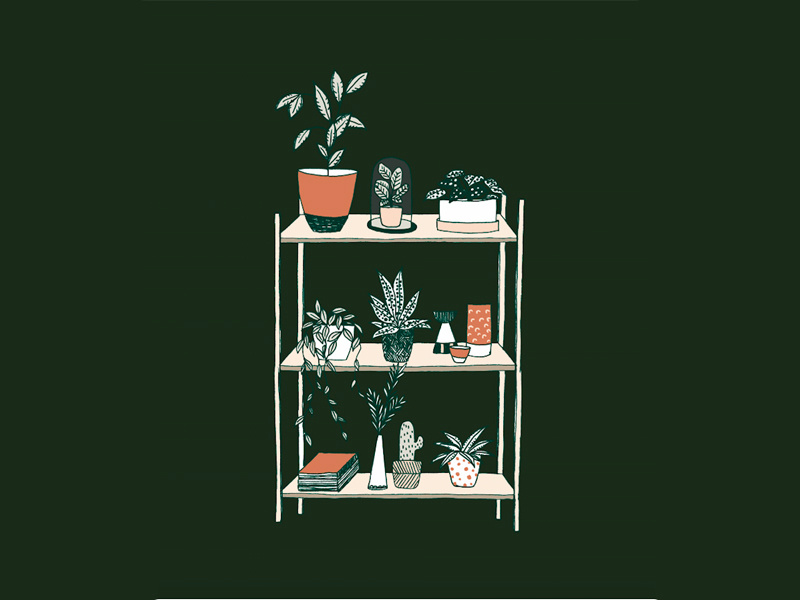 Botanical living sketch handdrawn livingroom flora botanic green larabispinck everywhereyougo shelf plants illustration