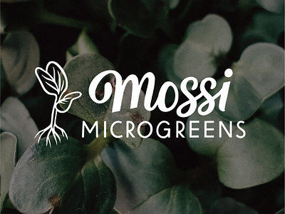 Mossi Microgreens Logo hand lettered logo hand lettering lettering logo logo design