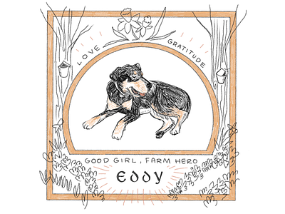Good girl, Farm hero Eddy design dog farm illustration sketch