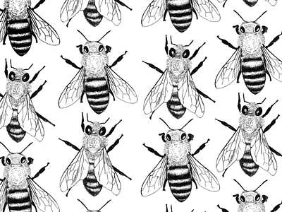 Honeybees bee illustration bees black and white design farm honeybees illustration pattern pattern design savethebees