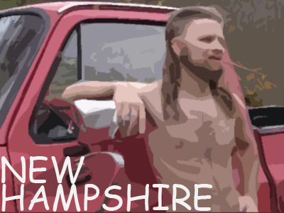 New Hampshire nh rebound