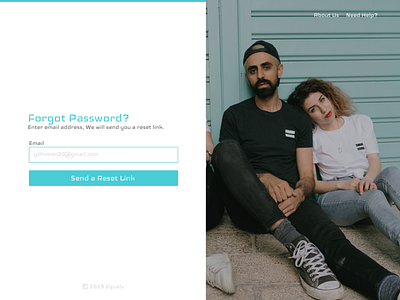 Equals Reset Password concept figma uidesign