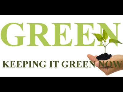 Keeping it Green branding design illustration logo