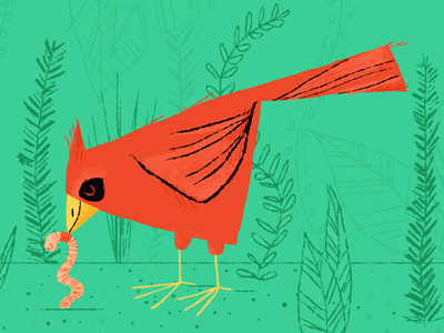 snack time bird cardinal illustration nature worm