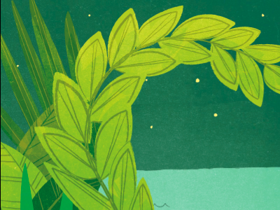 green growth greenery illustration leaves ocean outdoors stars