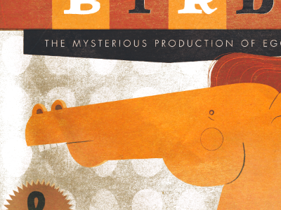 The Mysterious Production of Eggs album andrew bird design illustration texture
