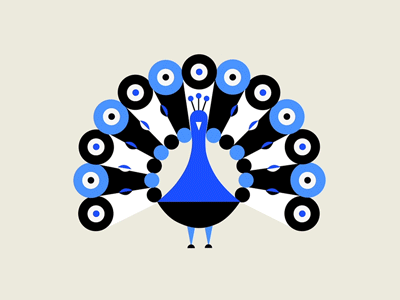 Peacock motion 2d animated gif hide sing animal buscarons bird scream feathers tail peacock