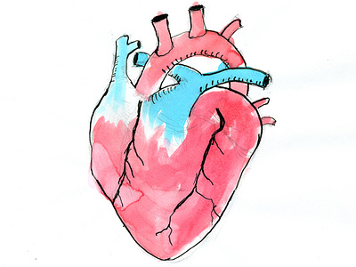 Heart Illustration illustration ink watercolor