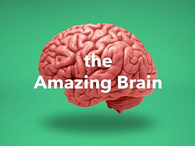 B.well Brain brain design concept psychology