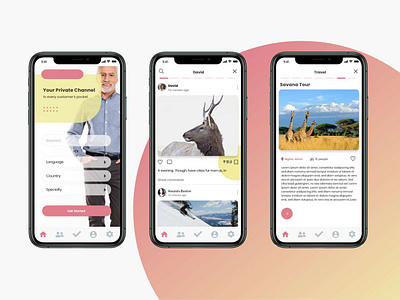 Find Mentor, Social and Travel graphic design mobile ui ux