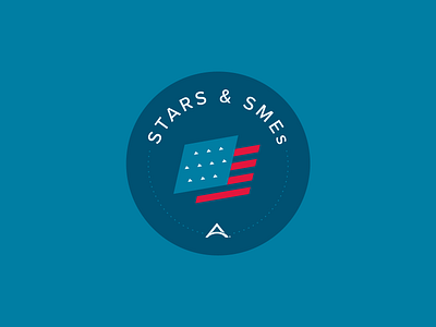 Stars and SMEs Internal Branding america american flag americana branding design flag illustrator vector