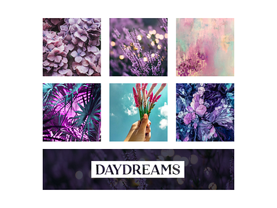 Daydreams Branding Package branding design identity logo