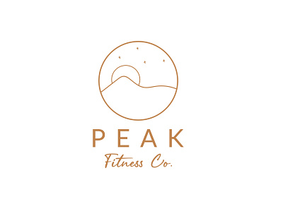 Peak Fitness Co graphic design hand drawn handwritten illustration illustrator logo logo design professional logo