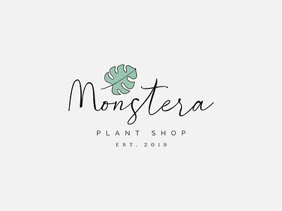 MONSTERA