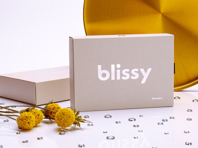 Blissy Silk Pillowcase beauty blissy care design logo photo photography pillowcase product shadow