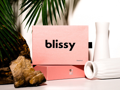 Blissy Silk Pillowcase beauty creative design photo photography pillowcase product product photography studio