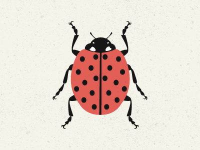 Ladybug