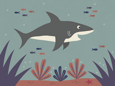 Shark Week illustration ocean sea shark sharkweek underwater
