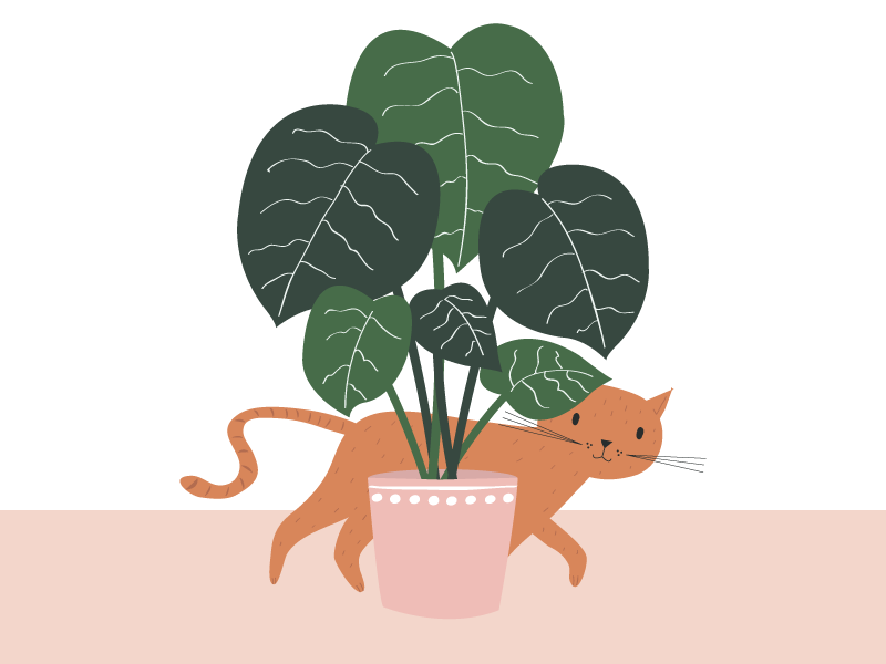 Cats Love Plants by Karin Bijlsma on Dribbble