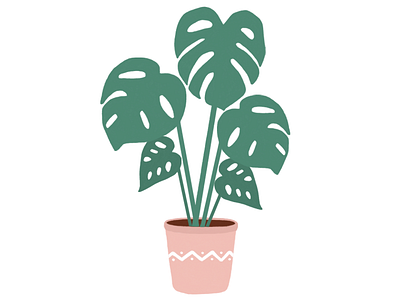 Monstera