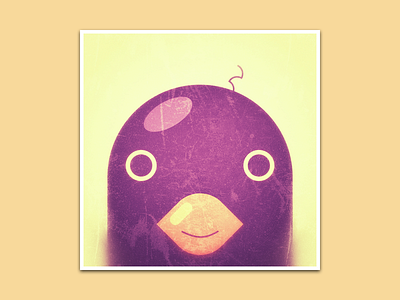 Purple Pigeon