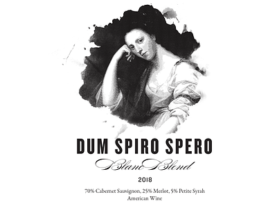 Dum Spiro Spero artwork branding illustration packaging wine label