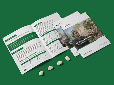 Business Proposal | Bifold Brochure | Business Brochure