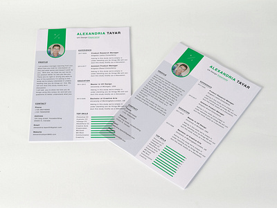 Resume design | CV design | Profile Design