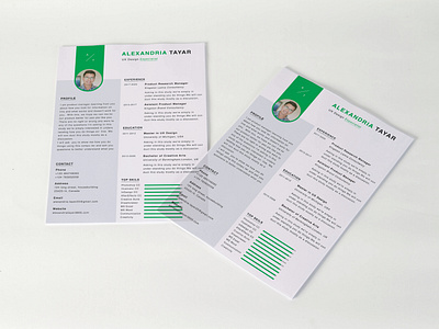 Resume design | CV design | Profile Design armansdesign bifold brochure business resume clean resume company profile corporate magazine creative resume cv cv job graphic design job application profile setting resume resume design