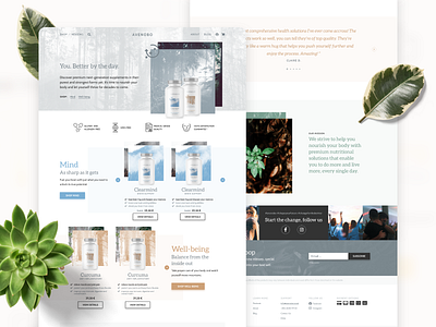 Avenobo - Conversion focuses e-commerce web design