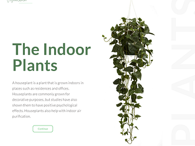 The indoor plants branding conceptual design ui ux visual design web website