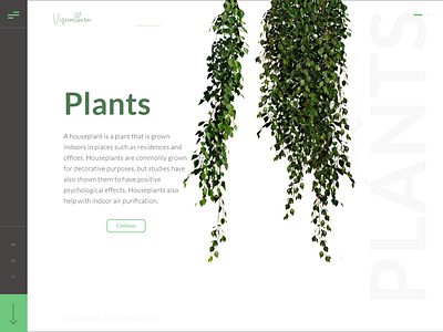 Plants branding design ui ux visual design web website