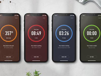 Weber — BBQ Grilling Stages app bbq cooking design device dial digital food food app interface iphone layout minimal mobile smart ui ux