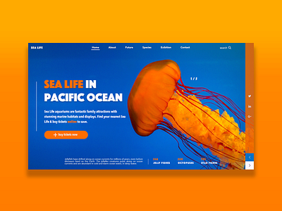 Sea Life Design adobe adobe photoshop branding design hero banner hero image hero section ui ux web webdesign website