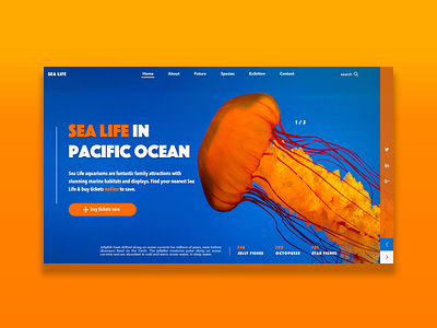 Sea Life Design