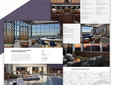Radius Rooftop Lounge / Knoxville, TN - Website Design graphicdesign knoxville tn slamdot web design webdesign webdesigner wordpress