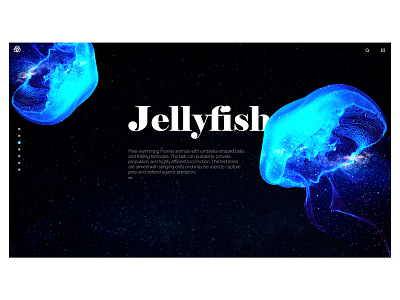 Jellyfish page concept adobe xd app design interface landing page typography ui ui ux ui design uidesign ux web website