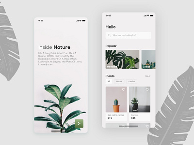 Plant app UI Concept app design minimal mobile app design plant plant illustration plant shop plants uidesign